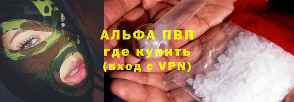 прущие грибы Армянск