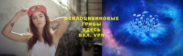 спайс Арсеньев