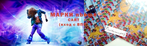 прущие грибы Армянск