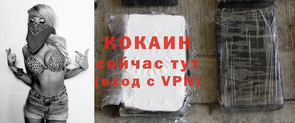 спайс Арсеньев