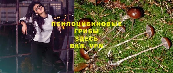 спайс Аркадак