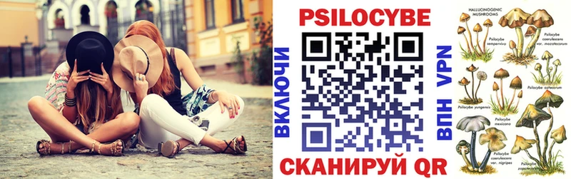 Псилоцибиновые грибы прущие грибы  Приозерск 